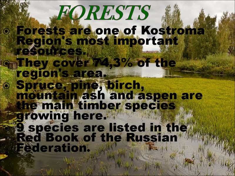 Forests Forests are one of Kostroma Region's most important resources.  They cover 74,3%